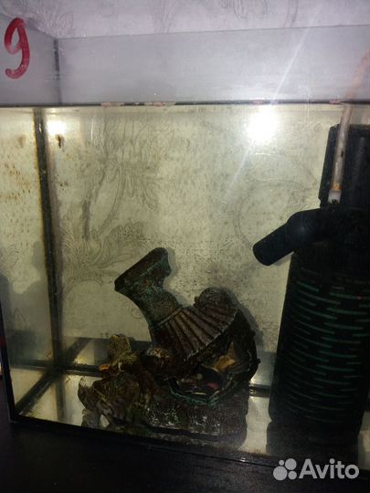 Аквариум с рыбкой