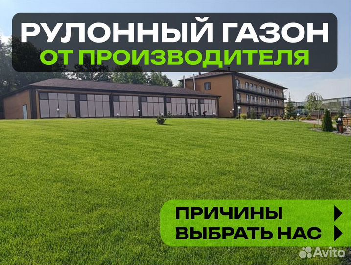 Рулонный газон Спорт. От производителя