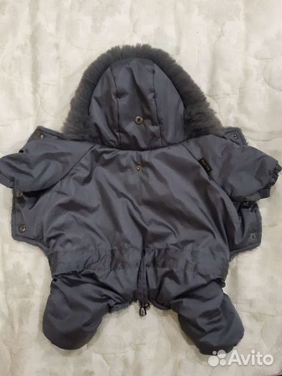 Комбинезон для маленькой собаки