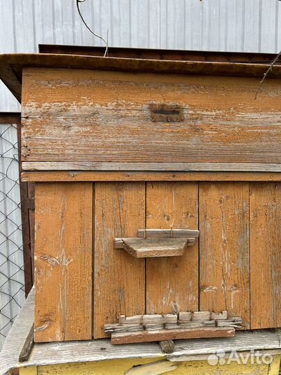 Улей для пчел бу