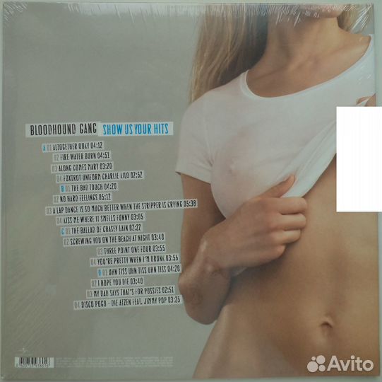 LP: Nirvana / Bloodhound Gang / Sex Pistols