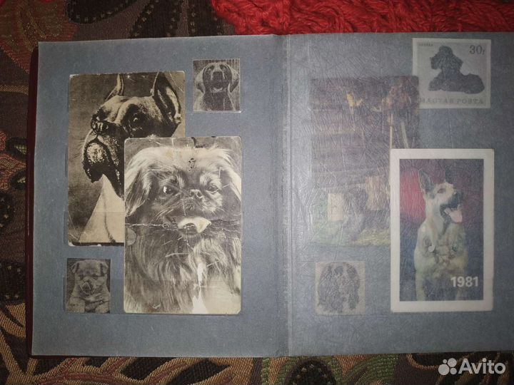 Календарики этикетки СССР собаки голуби растения