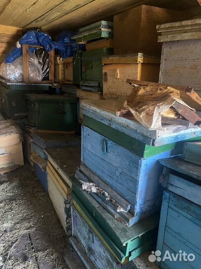 Продам ульи для пчел