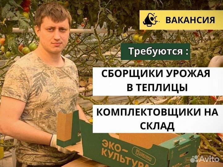 Комплектовщики на склад