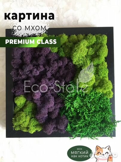 Картина из мха микс фиолетовый 30x30 см