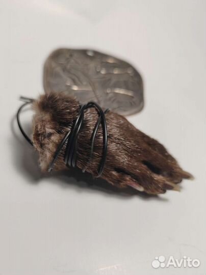 Лапка выдры