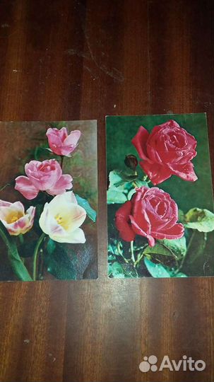 Открытки СССР