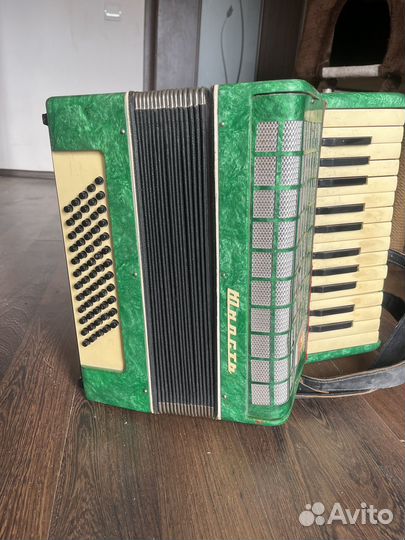 Аккордеон Теза Юность