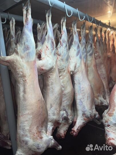 Мясо баранина халяль в оптом и розницу