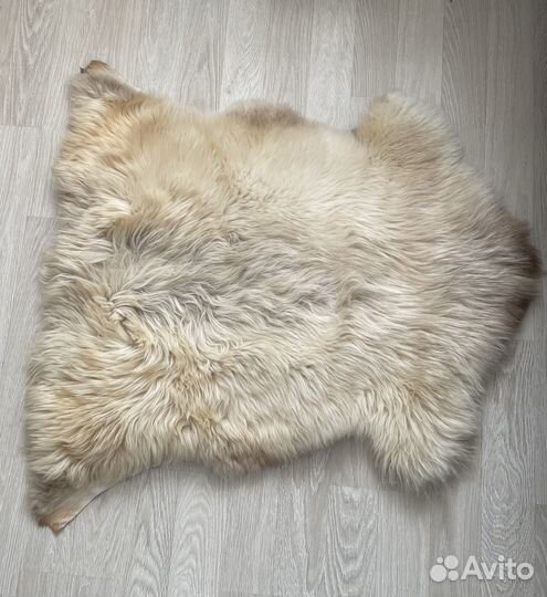 Шкура овечья шкурка