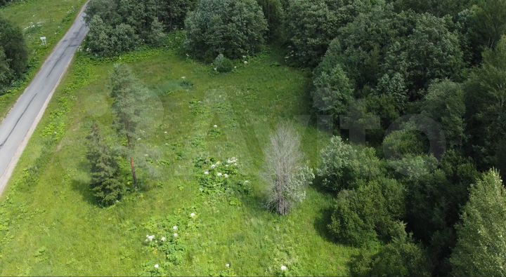 Участок 60 сот. (ИЖС)