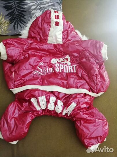 Дождевик для собаки средних пород