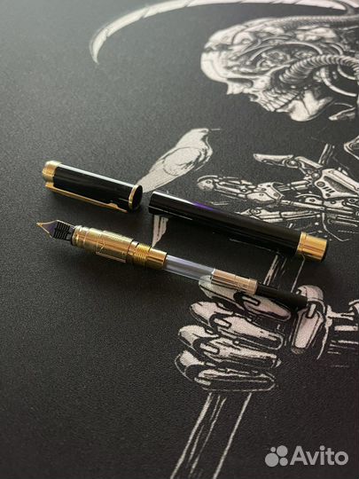 Перьевая ручка Waterman Perspective, F