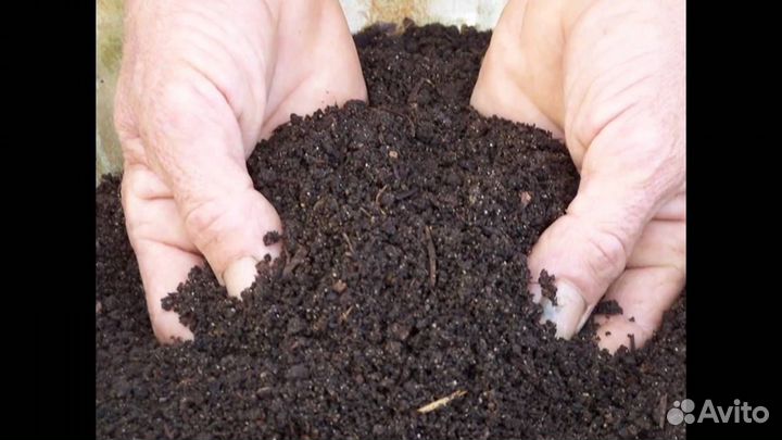 Перегной плодородный