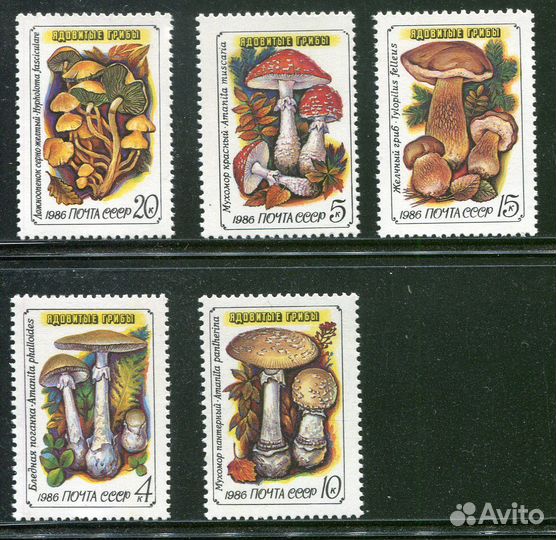 Почтовые марки СССР Флора Растения Грибы
