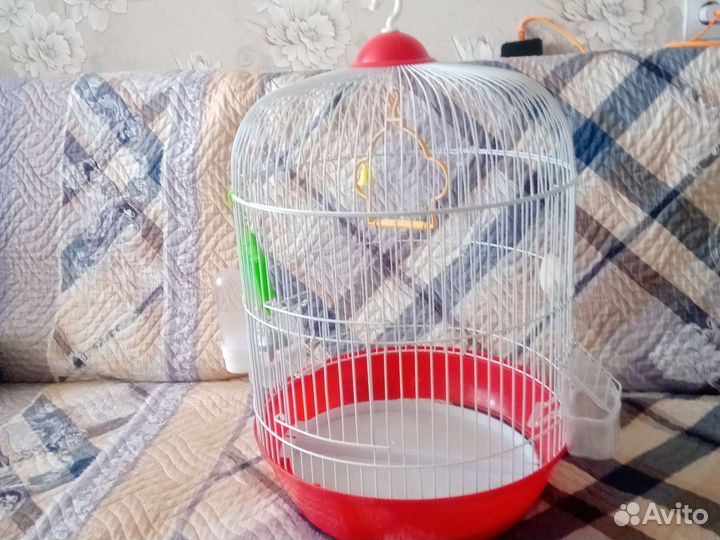 Клетка для попугая + канарейки