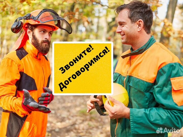 Измельчитель веток аренда. Звоните, бригада готова