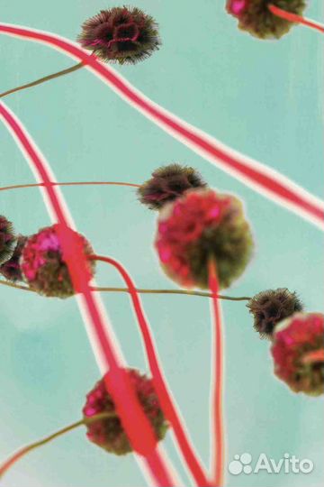 Итальянская картина. Giugno. Фактурная штукатурка