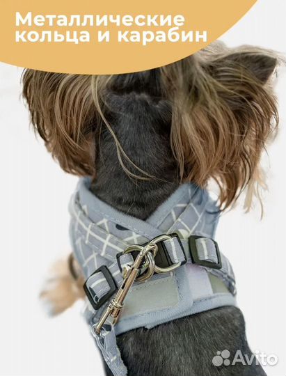 Шлейка для кошек и собак