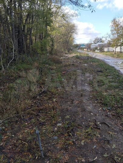 Участок 10 сот. (СНТ, ДНП)