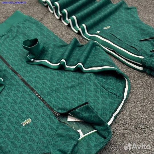 Спортивный костюм lacoste (Арт.98091)