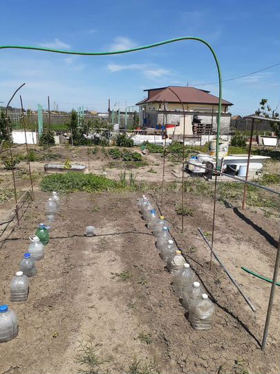 Дом 58 м² на участке 10 сот.