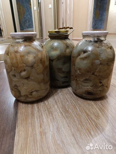 Грибы грузди соленые