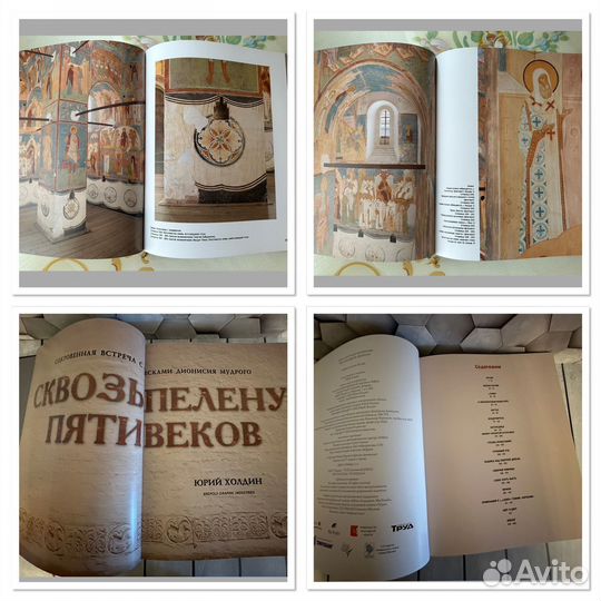 Сквозь пелену пяти веков, Вологодская икона