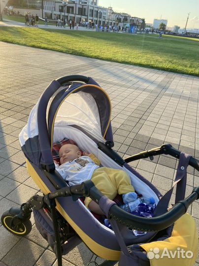 Коляска adamex 2в1