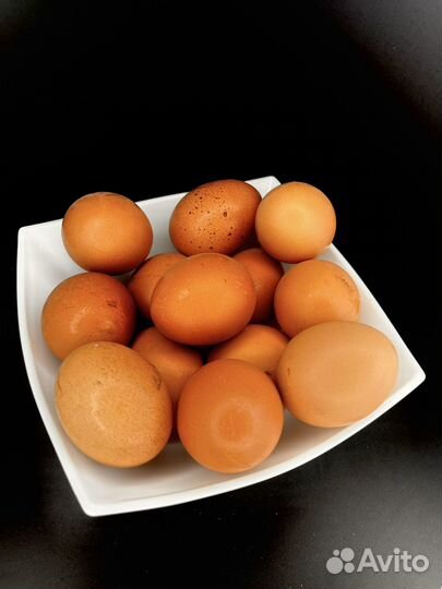 Домашние куриные яйца от 10 ка