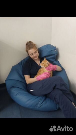 Ассистент ветеринарного врача на дом