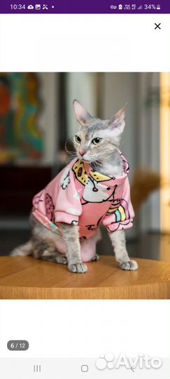 Свитшот для питомца