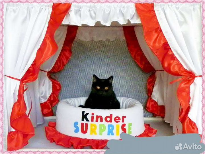 Оформление для выставочной палатки