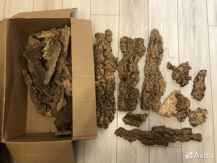 Кора пробкового дуба