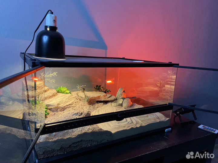 Готовые террариумы-хабитаты