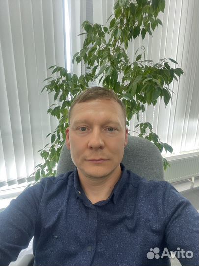 Помощник руководителя