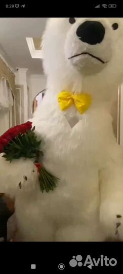 Белый мишка поздравление