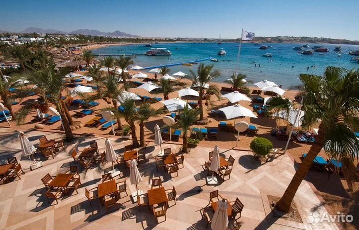 Тур в Sharm El-Sheikh 6 дн