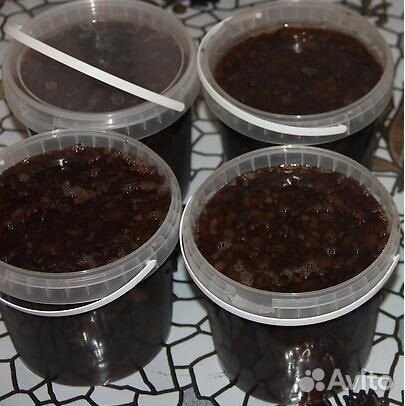 Трепанг на меду