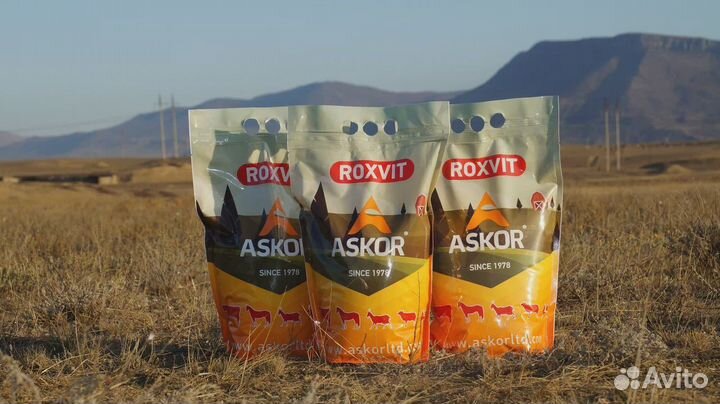 Премикс П1-2 для промышленных куры-несушек