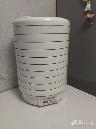 Сушилка для овощей и фруктов волтера 1000 в,10