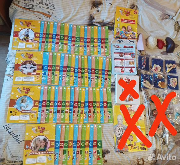 Детали из коллекции Как устроено тело человека