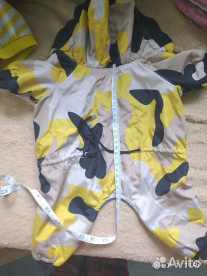 Одежда для собак