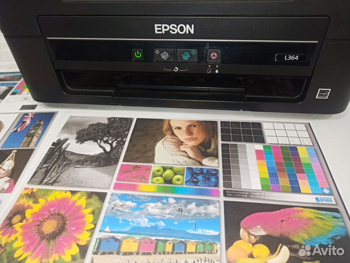 Струйный мфу Epson L364