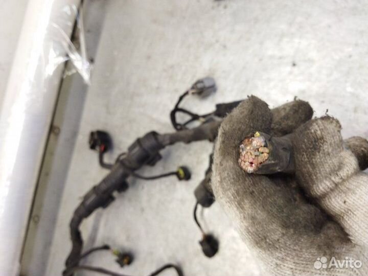 Проводка Kia Ceed ED 1.6 2009