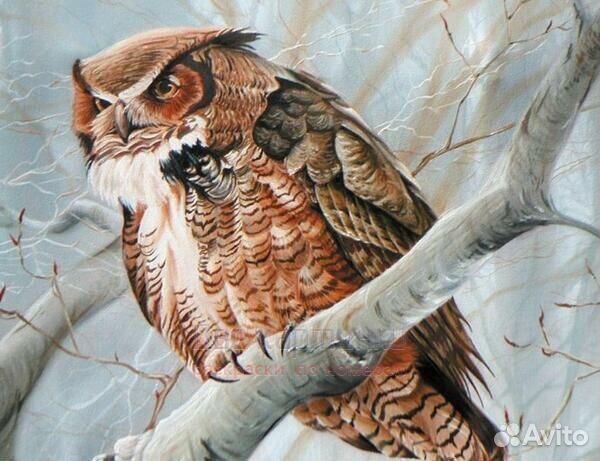 Алмазная мозаика 40x50 Суровый филин