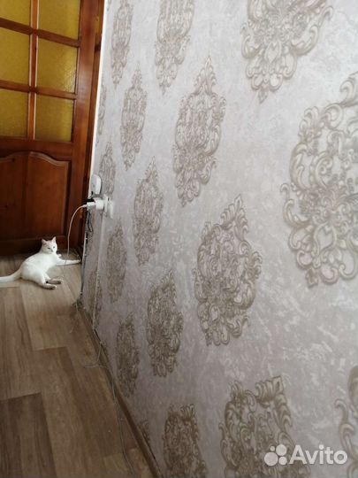 Обои остатки