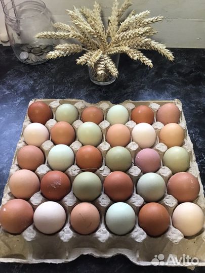 Яйцо куриное домашнее, перепелиное
