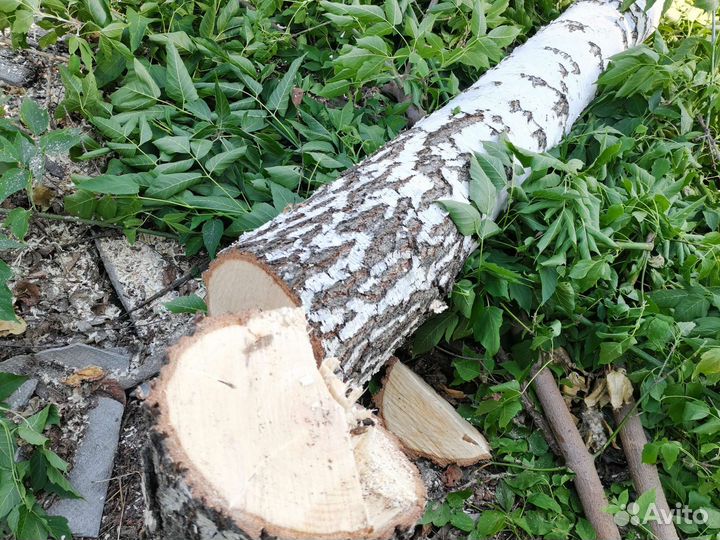 Дрова в дар