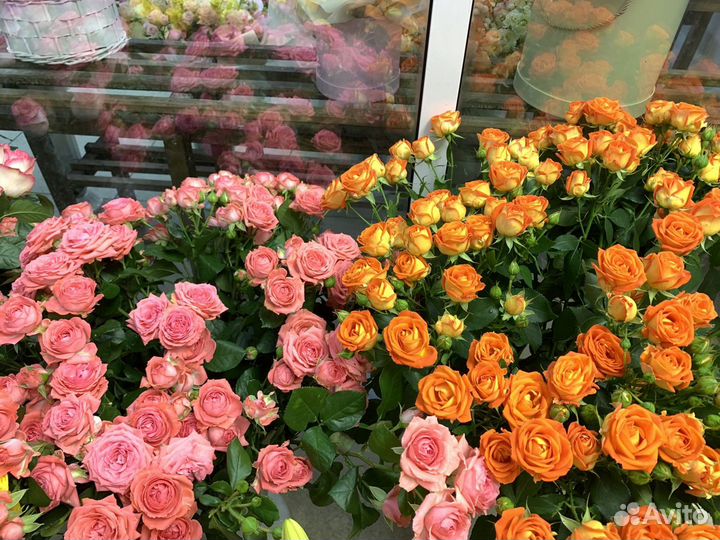 Розы в ассортименте с доставкой